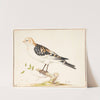 En snespurv plectrophenax nivalis by Pieter Holsteijn