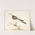 En snespurv plectrophenax nivalis by Pieter Holsteijn
