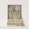 Endopancrine (1910-1950)