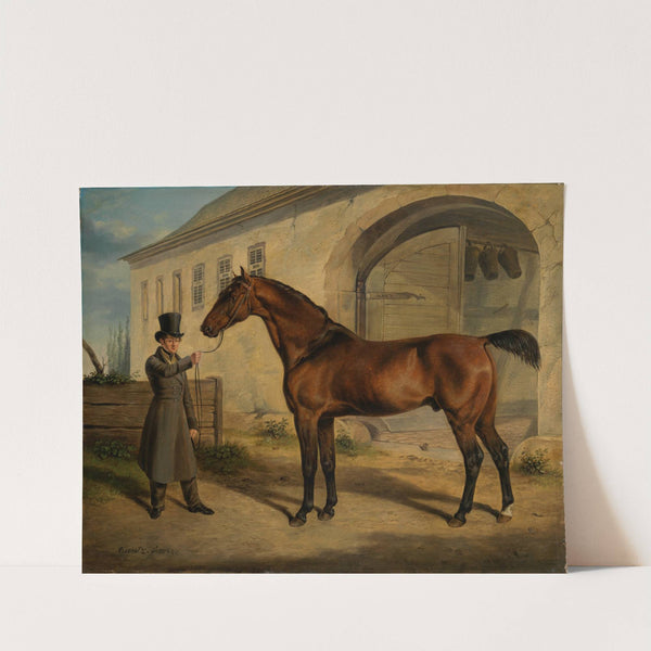 Englischer Vollbluthengst &#8216;Robert&#8217; (1834) by Rudolf Kuntz