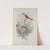 Enneoctonus collurio.Butcher Bird (1862-1873) by John Gould