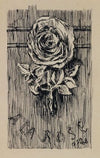 Enseigne A la Rose rue Saint-Antoine (1908)
