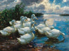 Enten am See [Ducks by a lake]