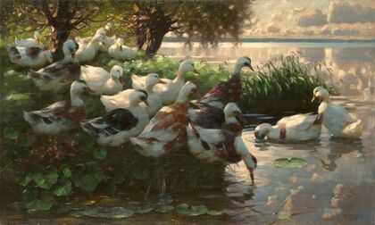 Enten am Seeufer
