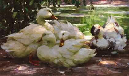 Enten am Ufer