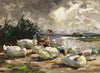 Enten am Ufer (schöne Wolkenstimmung)