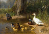 Enten am Wasser (1874)