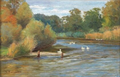 Enten am Weiher