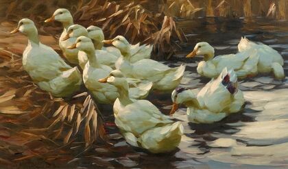 Enten aus dem Wasser gehend