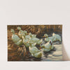 Enten aus dem Wasser gehend by Alexander Koester