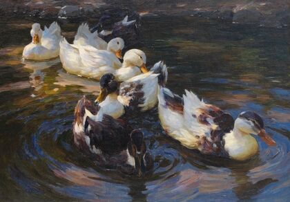 Enten in Morgensonne (Enten in blauem Wasser) (1904)