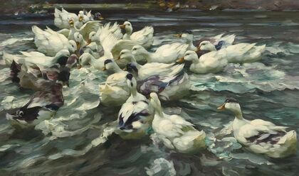 Enten in Teich (Wilde Jagd)