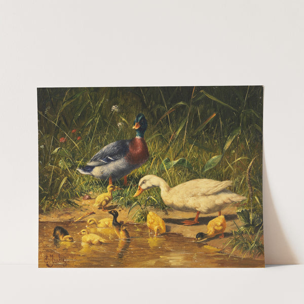 Enten mit Jungen am Wasser by Carl Jutz