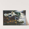 Enten mit Küken im Wasser (1905-1910) by Alexander Koester