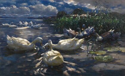 Enten, Reichenau