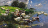 Enten (Seelandschaft)