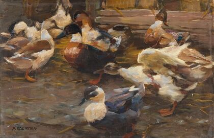 Enten vor dem Stall