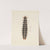 Entomology watercolour Pl.010 by George Hudson