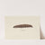 Entomology watercolour Pl.068 by George Hudson