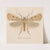 Entomology watercolour Pl.133 by George Hudson