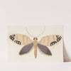 Entomology watercolour Pl.157 by George Hudson