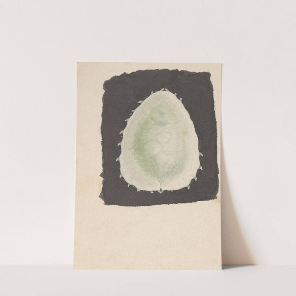 Entomology watercolour Pl.167 by George Hudson