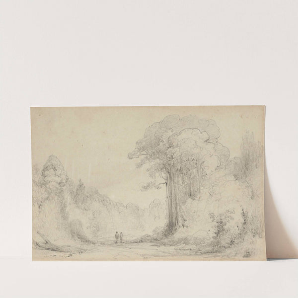 Entrance to Totara Grove, Upper Hutt by William Swainson