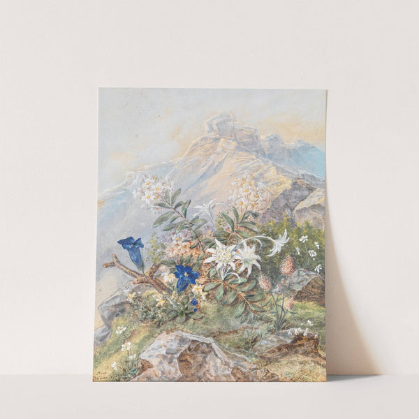 Enzian und Edelweiss by Anna Stainer-Knittel