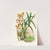 Epidendrum atropurpureum by Jean Jules Linden