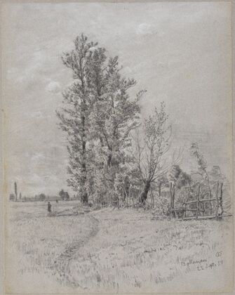 Erlen und Weiden bei Bottenau