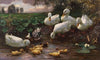 Erpel mit Enten und Küken am Seeufer