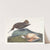 Esquimaux curlew by John James Audubon
