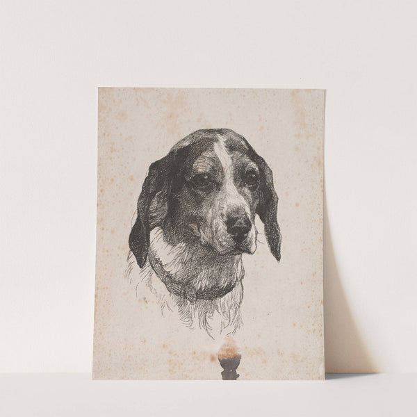 Et hundehoved by Alexander Blom