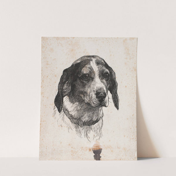 Et hundehoved by Alexander Blom