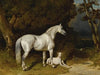 Etalon Gris Et LÃ©vrier (CouchÃ© Au Bord De L’allÃ©e)