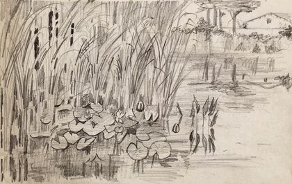 Etang avec des nénuphars et des roseaux