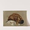 Etude anatomique. Buste d&#8217;homme écorché Muscles de l&#8217;épaule by Arthur-Joseph Gueniot