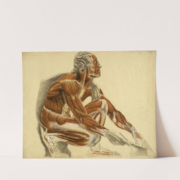 Etude anatomique. Homme écorché, accroupi vers la droite by Arthur-Joseph Gueniot