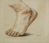 Etude anatomique. Pied gauche, appuyé sur la pointe