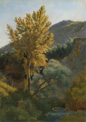 Etude d’arbre prÃ¨s d’un torrent en Italie