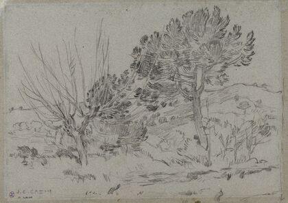 Etude d’arbres