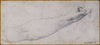 Etude de bras (1825 - 1826)