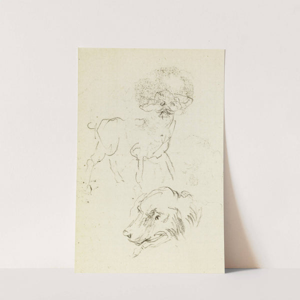 Etude de chien et de tête de chien by Jean-Baptiste Carpeaux