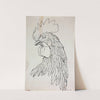 Etude de coq by Guillaume Boichot