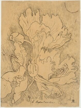 Etude de fleurs et de personnages