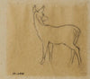 Etude de gazelle (19th century)