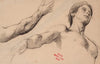 Etude de jeune homme en buste et Ã©tude d’un bras