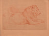 Étude de lion couché