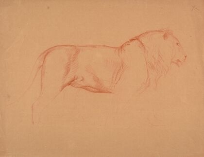 Étude de lion.