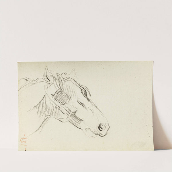 Etude de tête de cheval by Jean-Baptiste Carpeaux